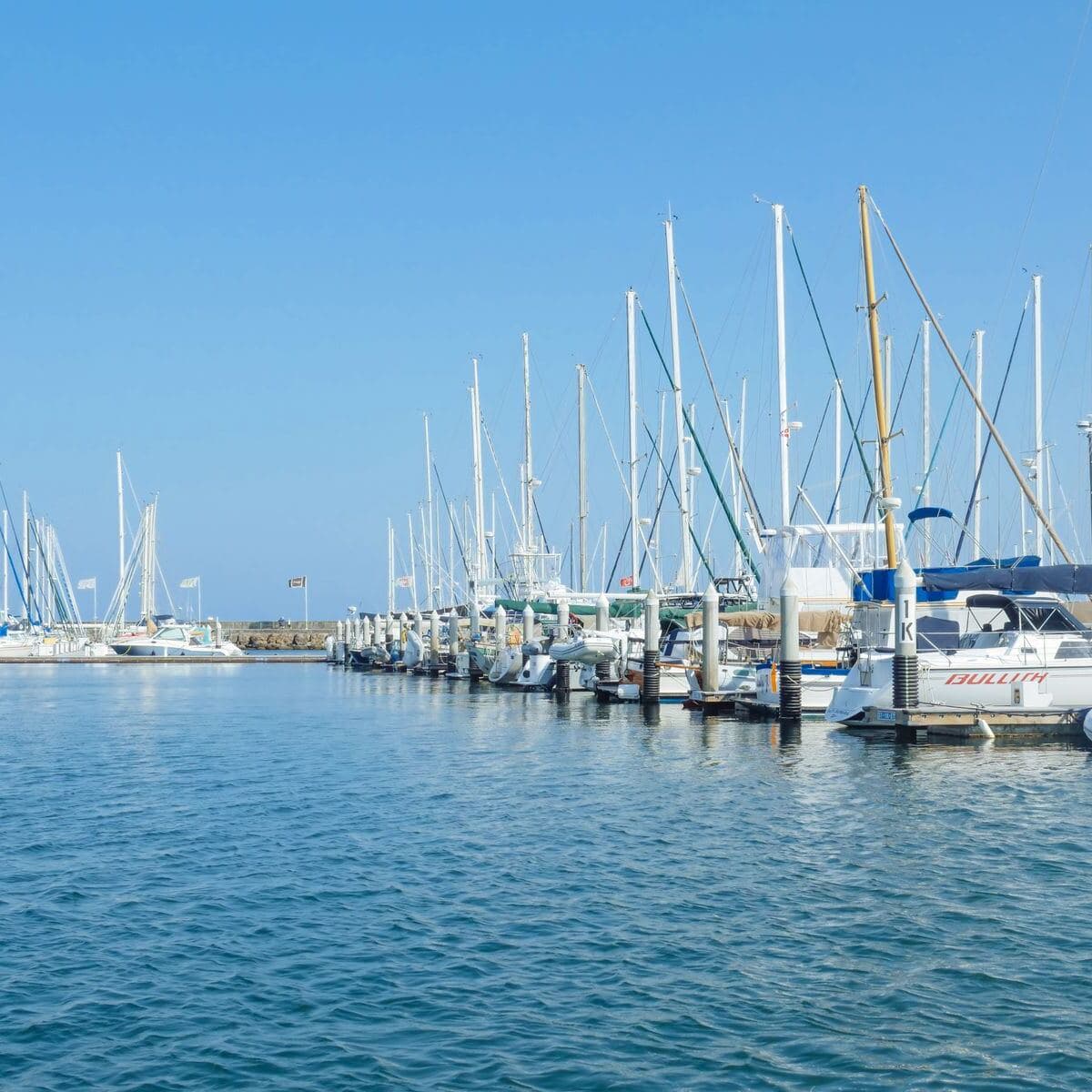 Sailboats moored in a marina