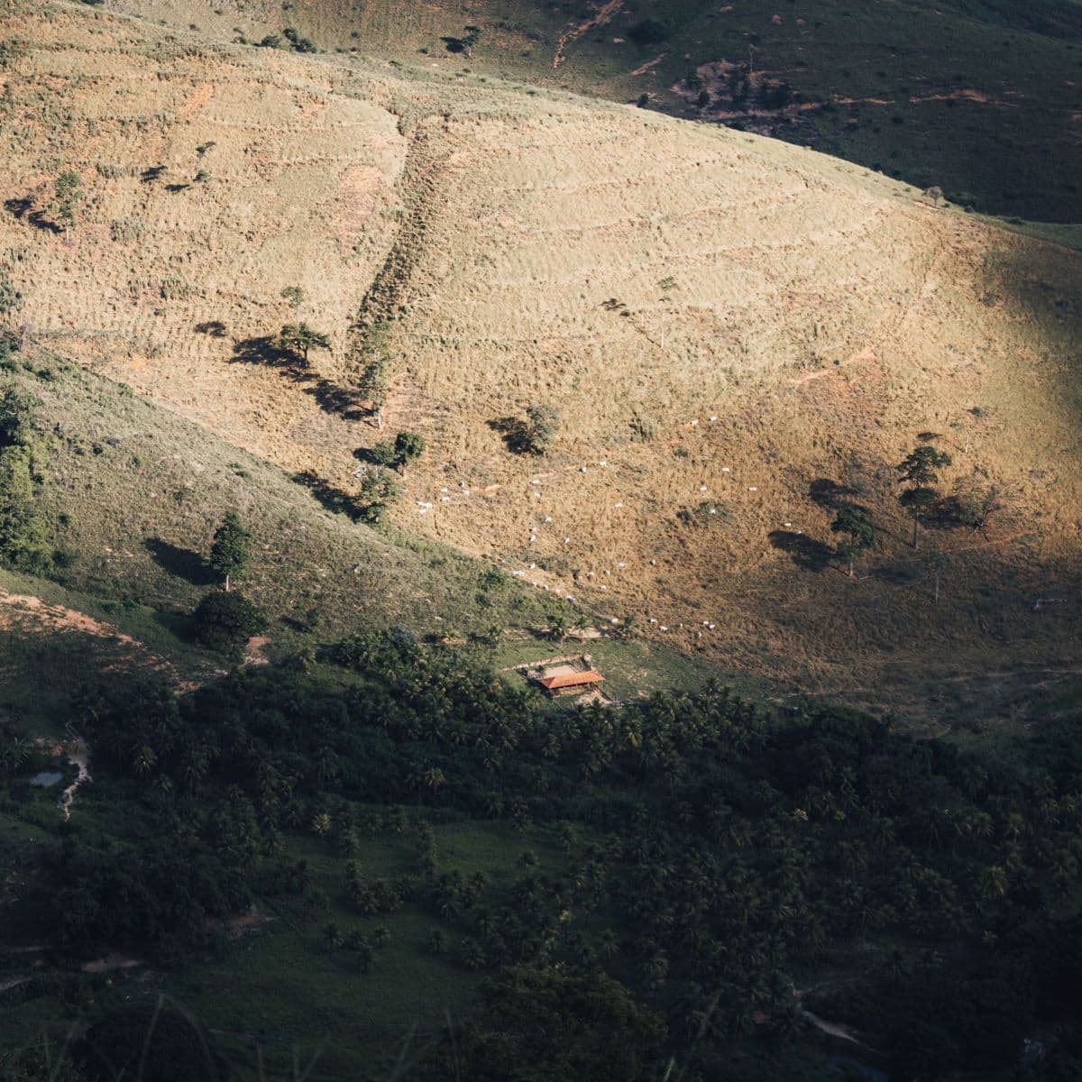 Dry hills and brush above a valley