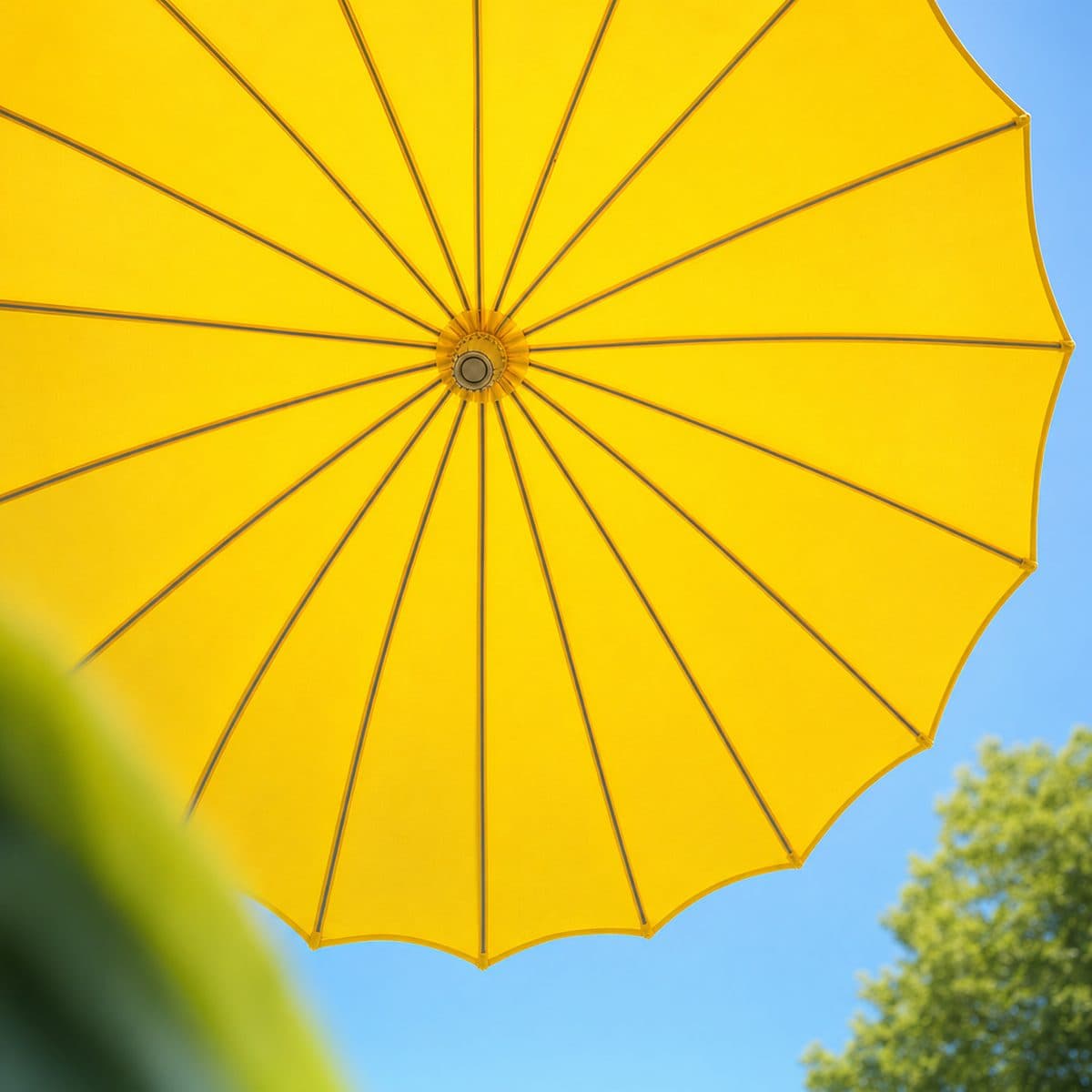 Umbrella Insurance