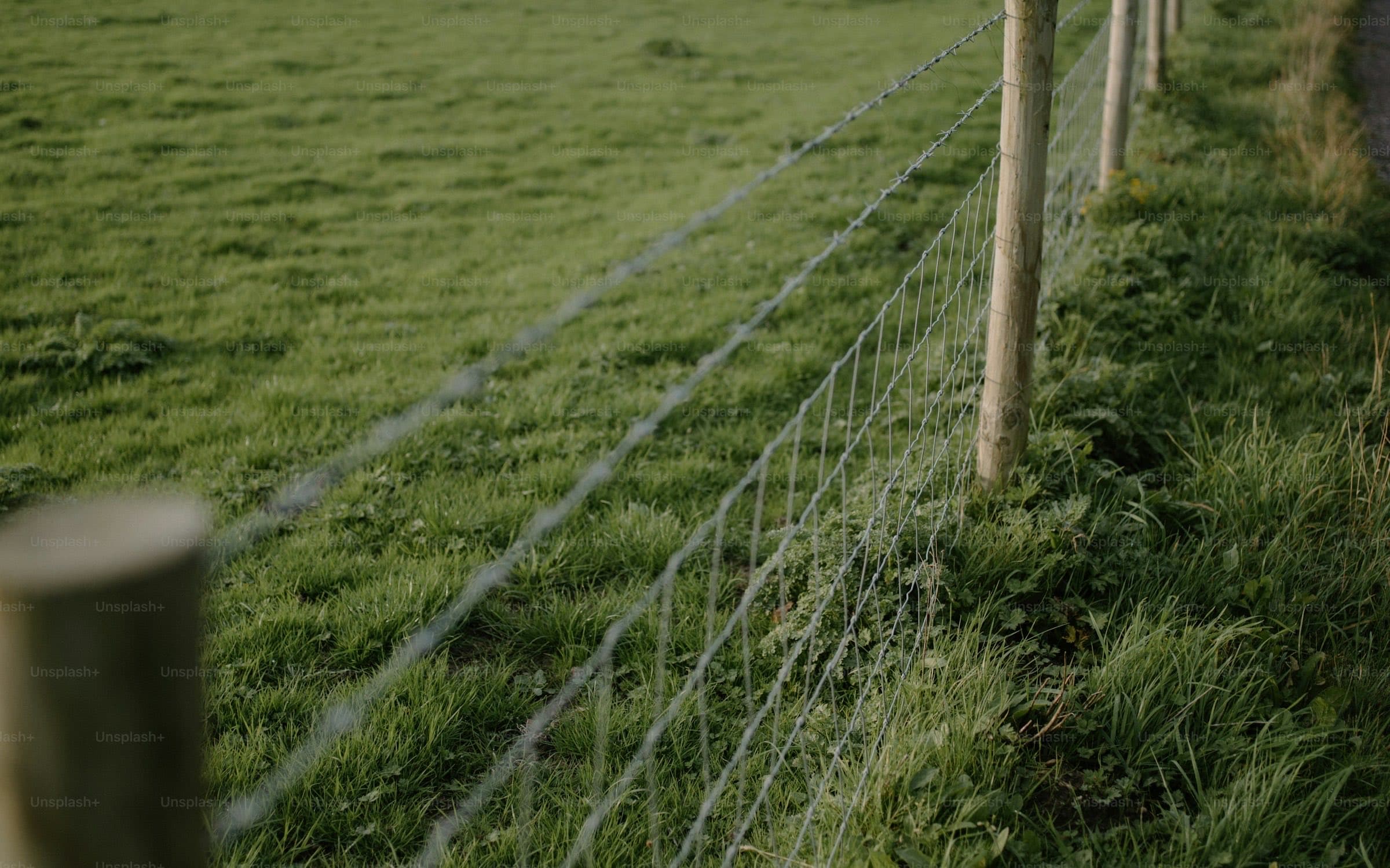 A wire fence along an empty grass field, undeveloped land insured for premises liability